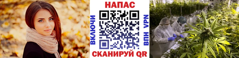 Цена Гуково COCAIN А ПВП Конопля Псилоцибиновые грибы ГАШ