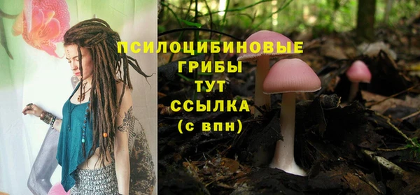 spice Белокуриха