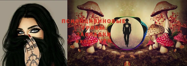 бошки Белоозёрский